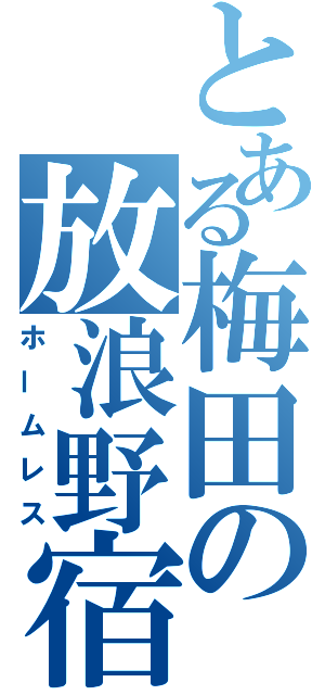 とある梅田の放浪野宿（ホームレス）