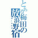 とある梅田の放浪野宿（ホームレス）