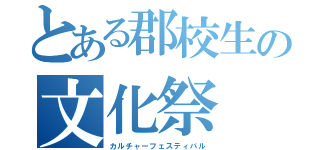 とある郡校生の文化祭（カルチャーフェスティバル）