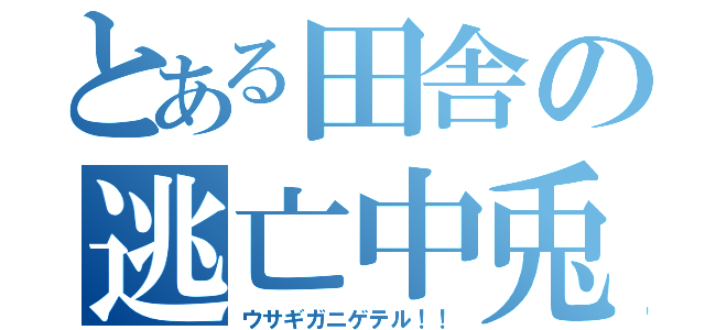 とある田舎の逃亡中兎（ウサギガニゲテル！！）