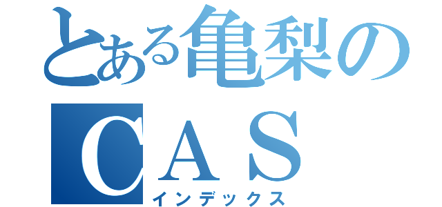 とある亀梨のＣＡＳ（インデックス）