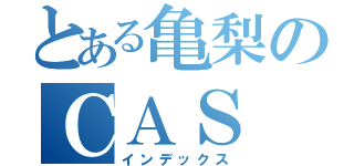 とある亀梨のＣＡＳ（インデックス）