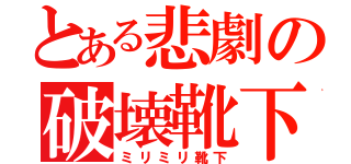 とある悲劇の破壊靴下（ミリミリ靴下）