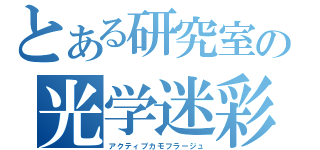 とある研究室の光学迷彩（アクティブカモフラージュ）