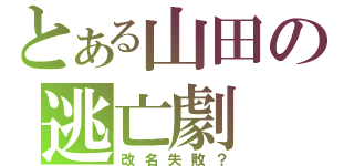 とある山田の逃亡劇（改名失敗？）