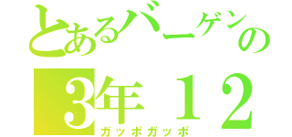 とあるバーゲン男の３年１２億＋出来高（ガッポガッポ）