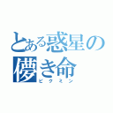 とある惑星の儚き命（ピクミン）