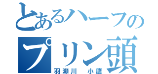 とあるハーフのプリン頭（羽瀬川　小鷹）