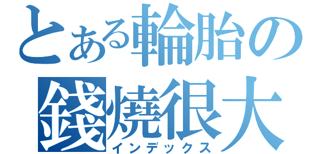 とある輪胎の錢燒很大~（インデックス）