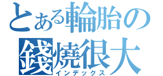 とある輪胎の錢燒很大~（インデックス）