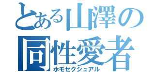 とある山澤の同性愛者（ホモセクシュアル）