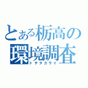 とある栃高の環境調査（トチタカサイ）