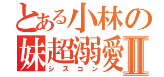 とある小林の妹超溺愛Ⅱ（シスコン）