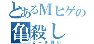 とあるＭヒゲの亀殺し（ピーチ救い）