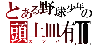 とある野球少年の頭上皿有Ⅱ（カッパ）