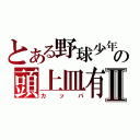 とある野球少年の頭上皿有Ⅱ（カッパ）