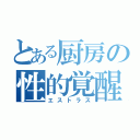 とある厨房の性的覚醒（エストラス）