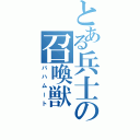 とある兵士の召喚獣（バハムート）