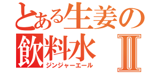 とある生姜の飲料水Ⅱ（ジンジャーエール）