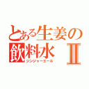 とある生姜の飲料水Ⅱ（ジンジャーエール）