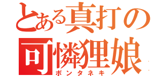 とある真打の可憐狸娘（ポンタネキ）