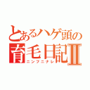 とあるハゲ頭の育毛日記Ⅱ（ニンフニナレ）