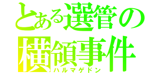 とある選管の横領事件（ハルマゲドン）