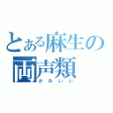 とある麻生の両声類（かわいい）