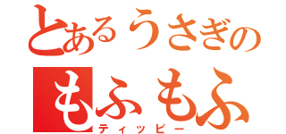 とあるうさぎのもふもふ記録（ティッピー）