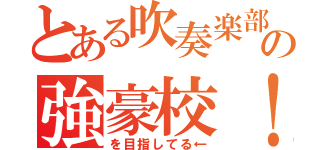 とある吹奏楽部の強豪校！（を目指してる←）