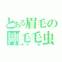 とある眉毛の剛毛毛虫（島木 彪）