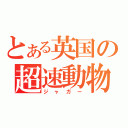 とある英国の超速動物（ジャガー）