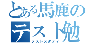 とある馬鹿のテスト勉強（テストスタディ）