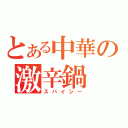 とある中華の激辛鍋（スパイシー）