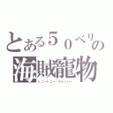 とある５０ベリーの海賊寵物（トニートニー・チョッパー）