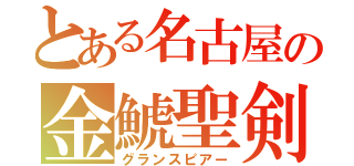 とある名古屋の金鯱聖剣（グランスピアー）