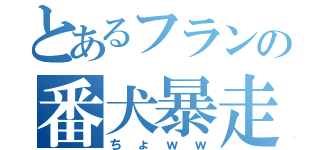 とあるフランの番犬暴走（ちょｗｗ）