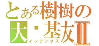 とある樹樹の大眾基友Ⅱ（インデックス）