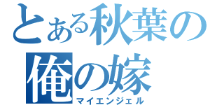 とある秋葉の俺の嫁（マイエンジェル）