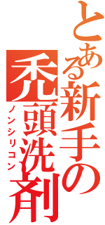 とある新手の禿頭洗剤（ノンシリコン）