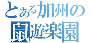 とある加州の鼠遊楽園（）