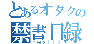 とあるオタクの禁書目録（↑何ッ！！？）