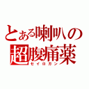 とある喇叭の超腹痛薬（セイロガン）