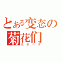 とある变态の菊花们（我勒个擦）