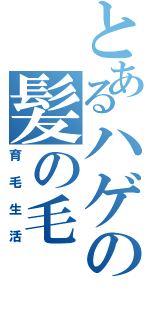 とあるハゲの髪の毛（育毛生活）