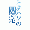 とあるハゲの髪の毛（育毛生活）