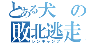 とある犬の敗北逃走（レンキャンプ）