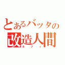 とあるバッタの改造人間（ルフィ）