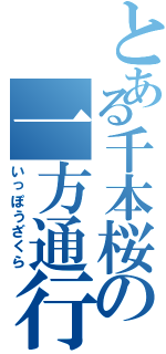 とある千本桜の一方通行（いっぽうざくら）