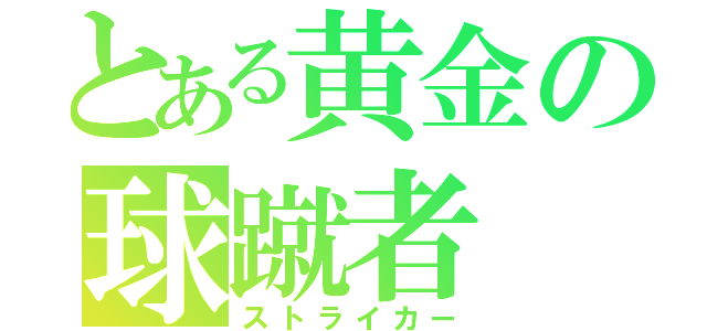 とある黄金の球蹴者（ストライカー）